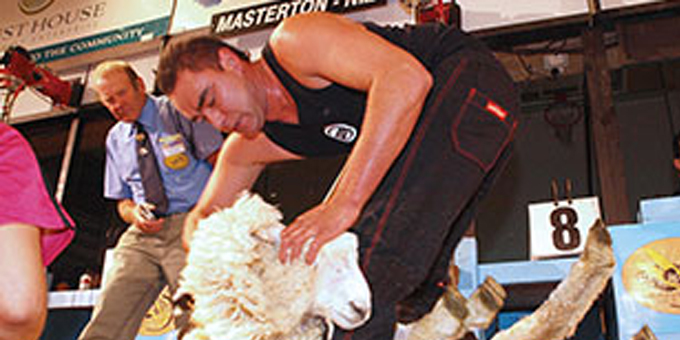 Shearing extra role part of record preparation