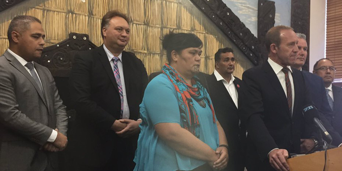 List-free MPs strengthen Maori hand in Labour