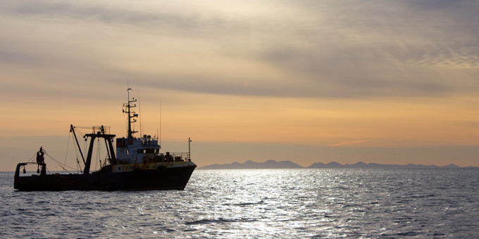 Aotearoa Fisheries profit falls in tough times