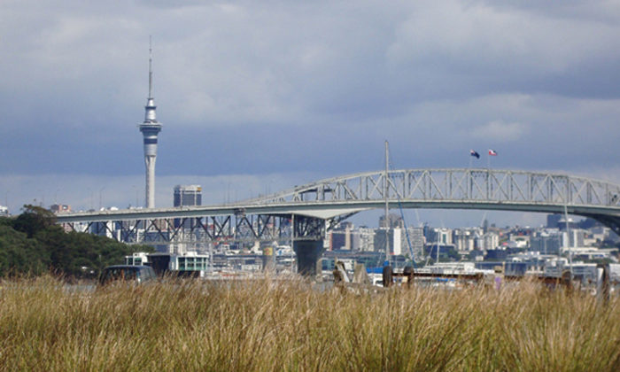 Law change needed for Auckland Maori seats