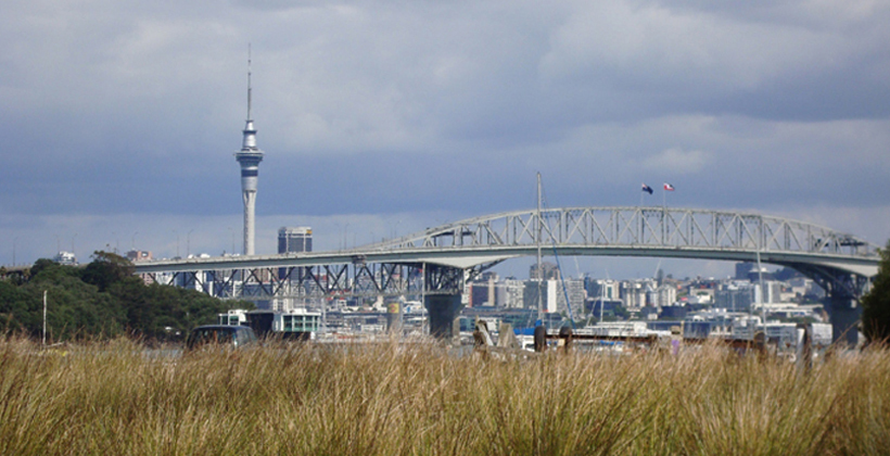 Law change needed for Auckland Maori seats