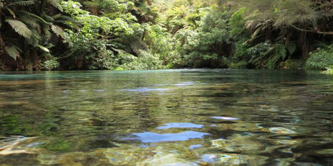 Raukawa steps up to protect Blue Springs