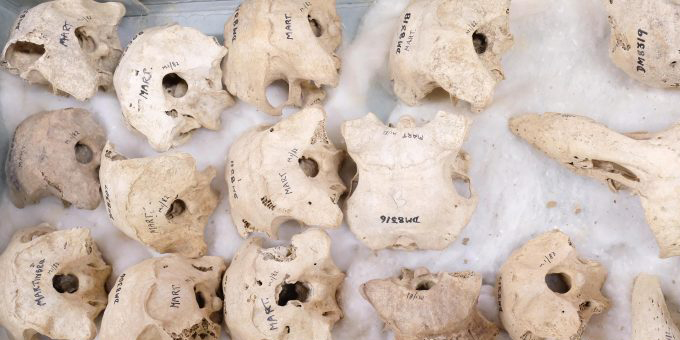 Bone fragments rich trove for first contact study