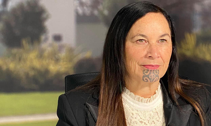 Grassroots issues to drive Maori Party