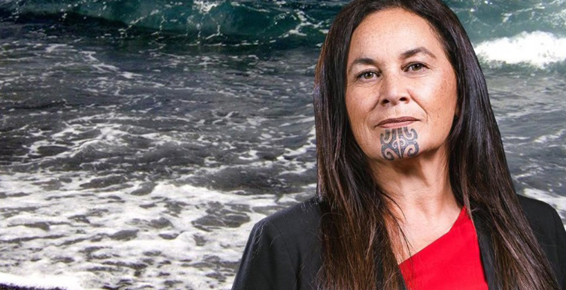 Maori Party takes aim at colonial monuments