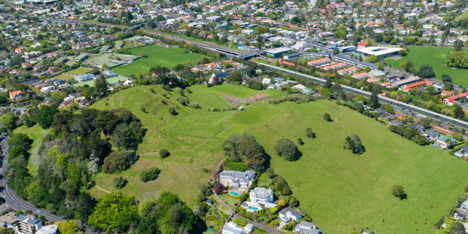 Maunga authority to cull diseased elms from Ohinerau