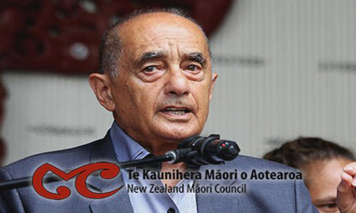 Academics to boost Māori Council policy