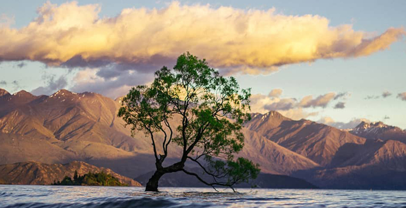 Environment top concern for Māori