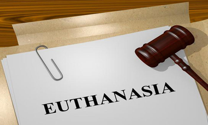 Euthanasia law threat to Maori