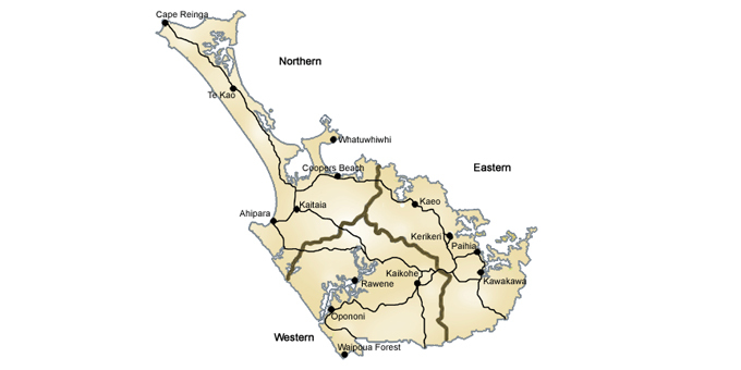 No guarantee of Māori seats in Northland plan