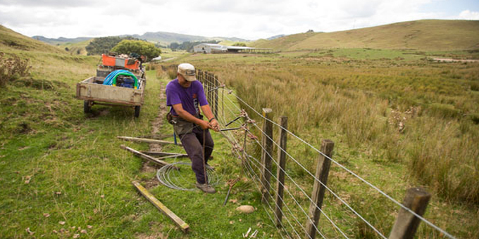 Royal tick for Maori-led workforce plan