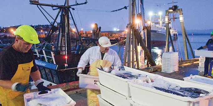 Fishing industry challenges Kermadec plan