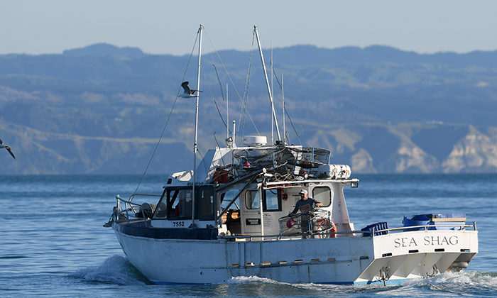 Cameras on boats and new dump rules to fix fisheries