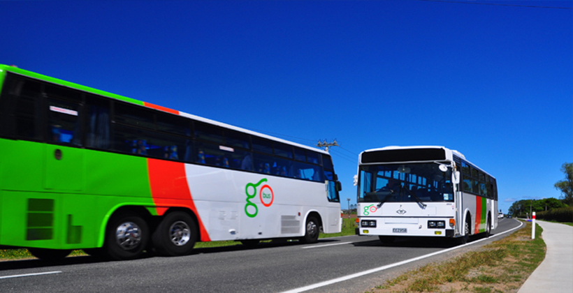 Iwi owners called out in stop Go Bus action