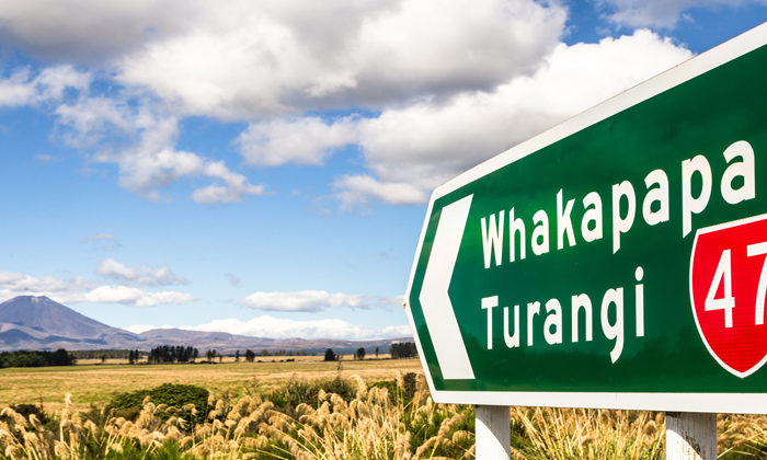 Investment firm targets Māori