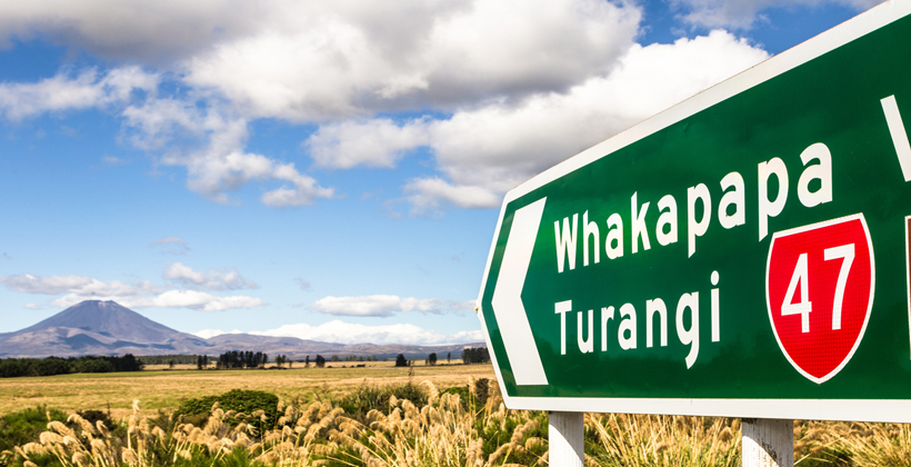 Investment firm targets Māori