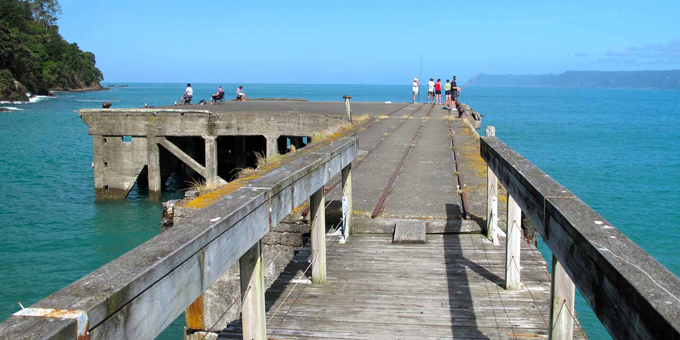 Wharf at Hicks Bay would open door to forestry