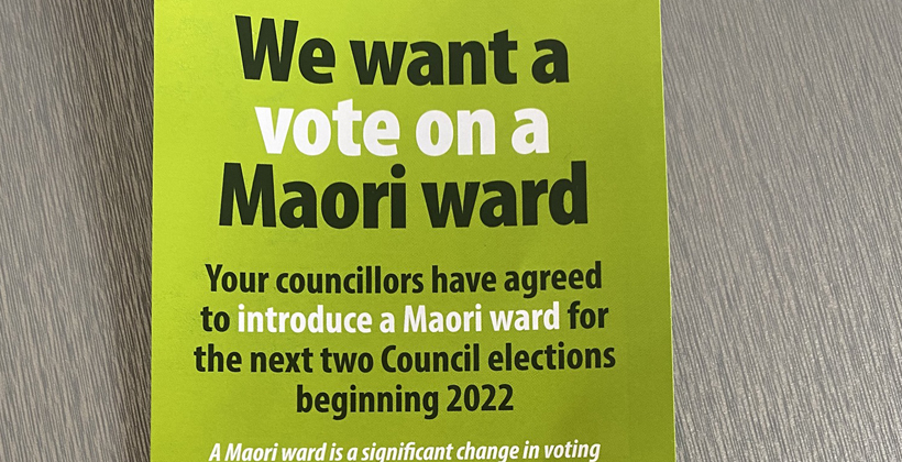 Councillor says Maori seat petition con job
