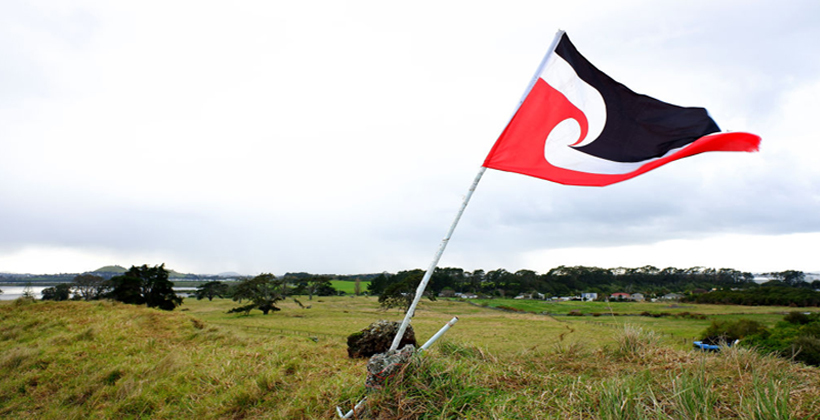 Council charged with Ihumātao neglect
