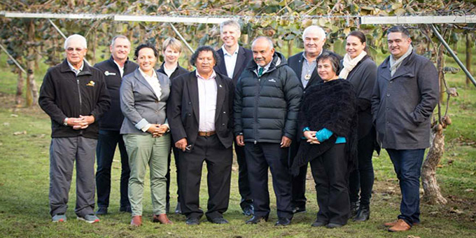 Forum to boost Maori kiwifruit production