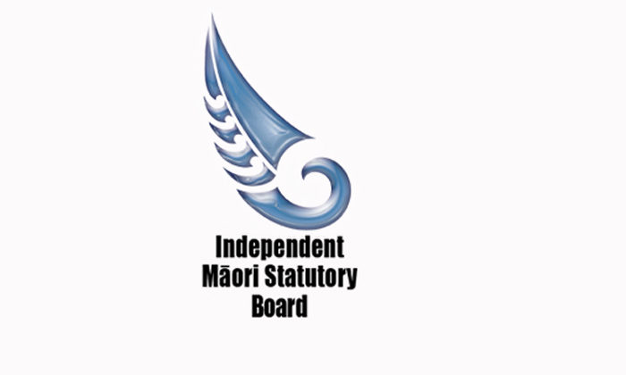 Māori board position stepping stone to power