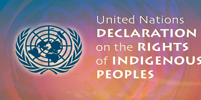 Ten year check for Indigenous Declaration