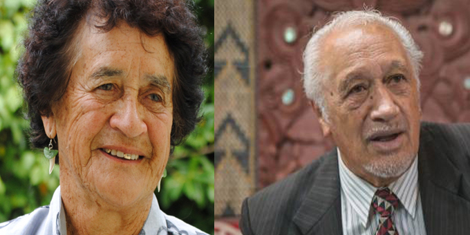Leading Māori educations claim closure of Kura Hourua in breach of Treaty of Waitangi