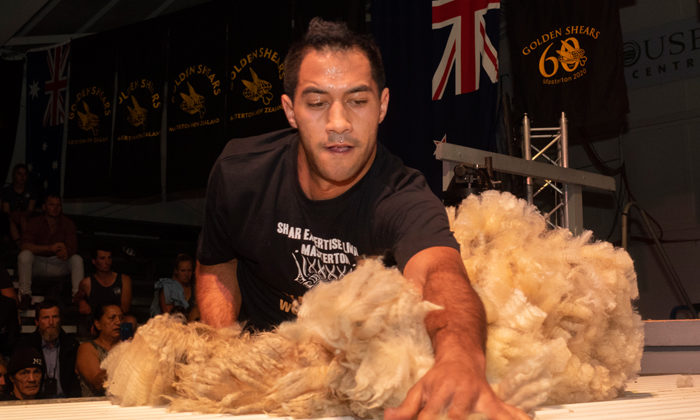 Te Waipounamu strong showing in Golden Shears