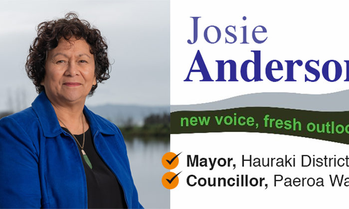 Anderson steps up for Hauraki mayoral run