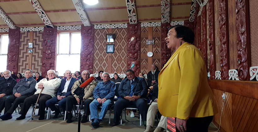 Housing partnership effective use of Māori resources