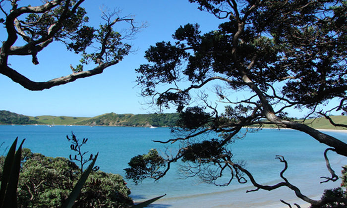 Kaipara clean up body interim step to wider iwi governance