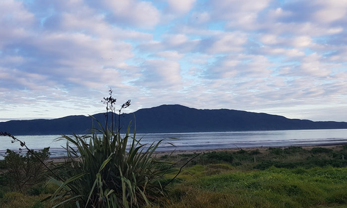 Kapiti fund gives leg up for Maori enterprise