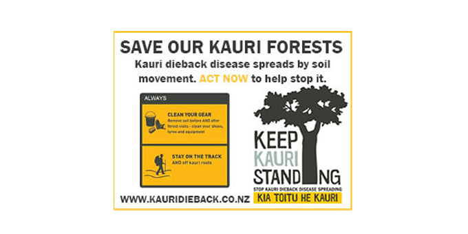 Kauri dieback fight brought home