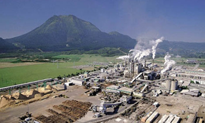 Kawerau paper mill set to close