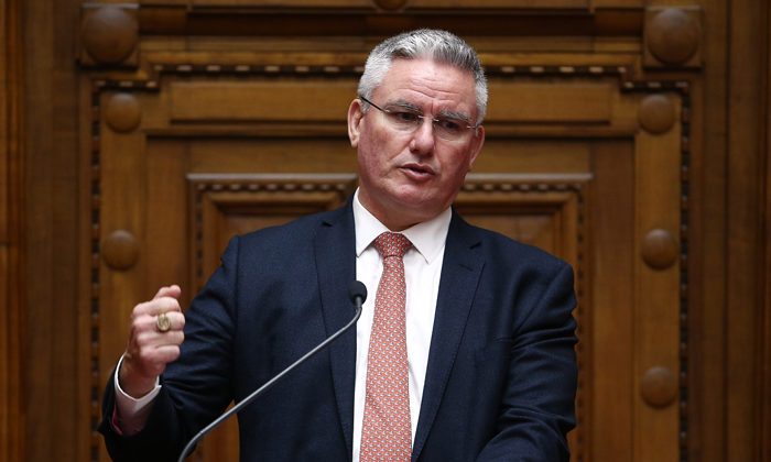 Davis open to larger Maori stake in child protection