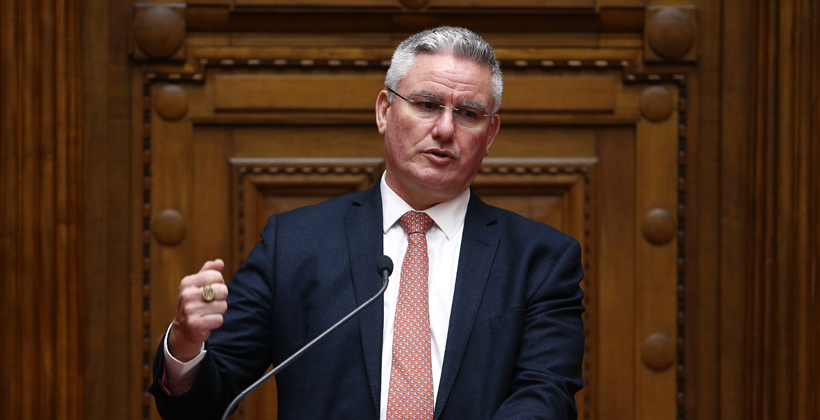 Davis open to larger Maori stake in child protection