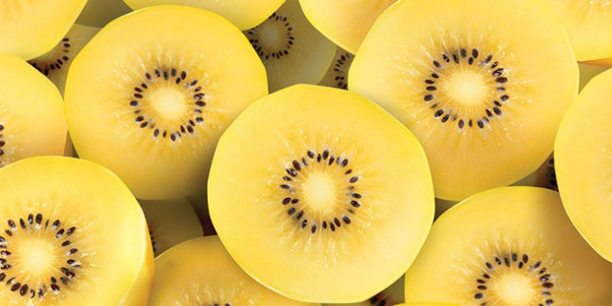 SunGold shines for Maori kiwifruit growers