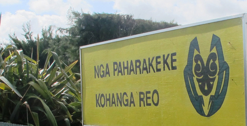 Kohanga Reo says too risky to reopen