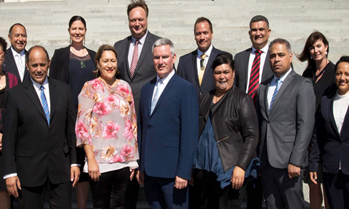 Labour Maori caucus boosted by seat wins
