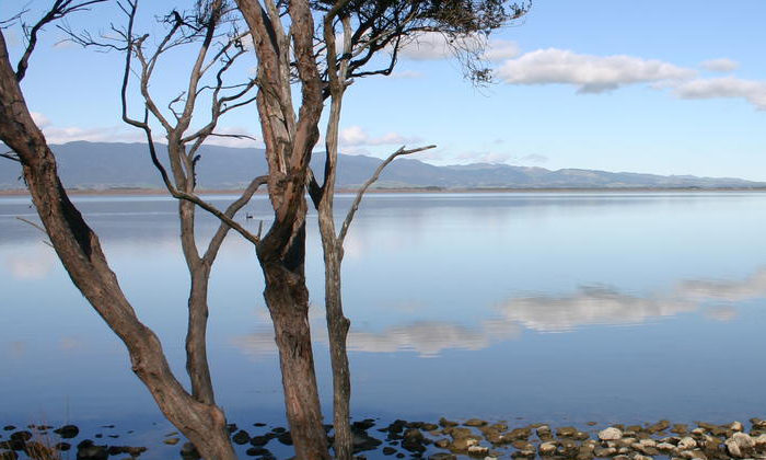 Lake Wairarapa iwi votes for clean start