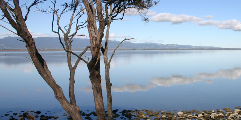 Lake Wairarapa iwi votes for clean start