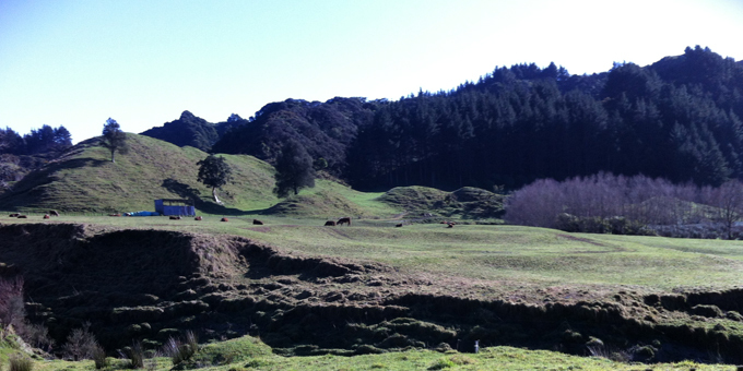 Advisory Group appointed to progress Maori land bill