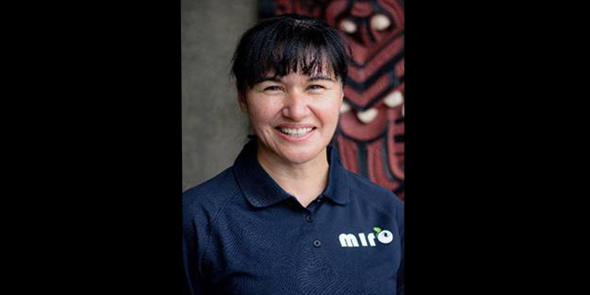 Māori berry company appoints CEO and heavy weight directors.