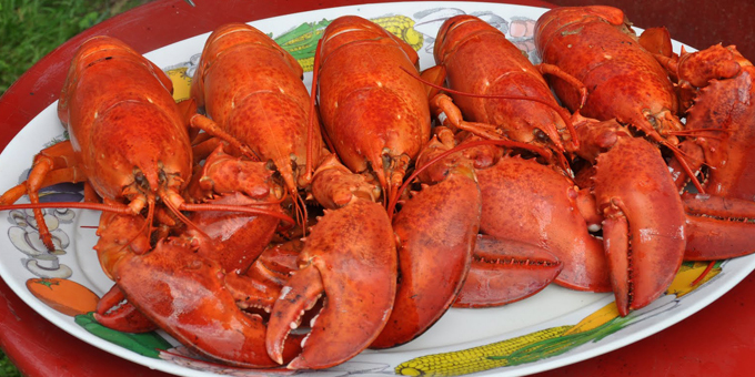 Lobster on the menu
