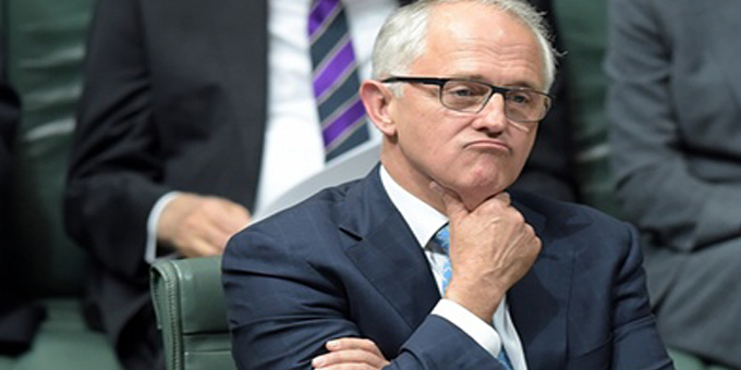 Glimmer of hope as Turnbull returns