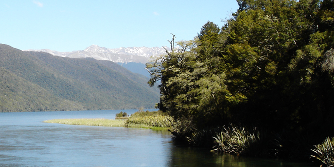Māori Council should appeal water decision