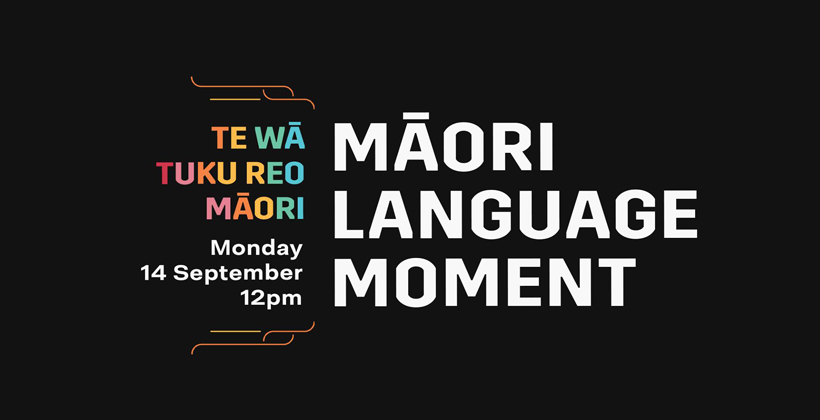 Million target for Maori language moment