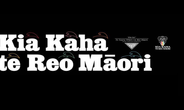 Just a moment for Te Wiki o te Reo Māori