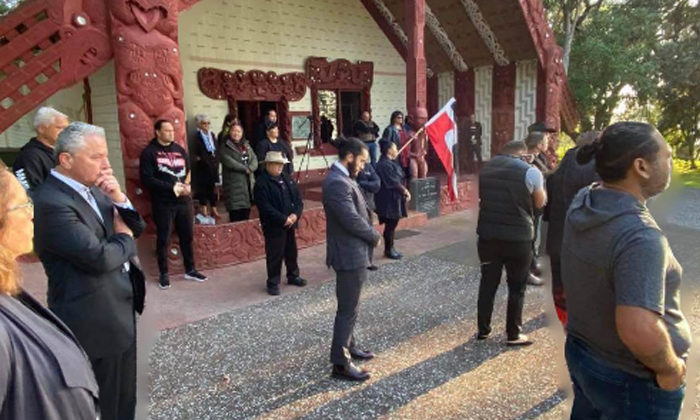 Treaty claim reset in Maori Party plan