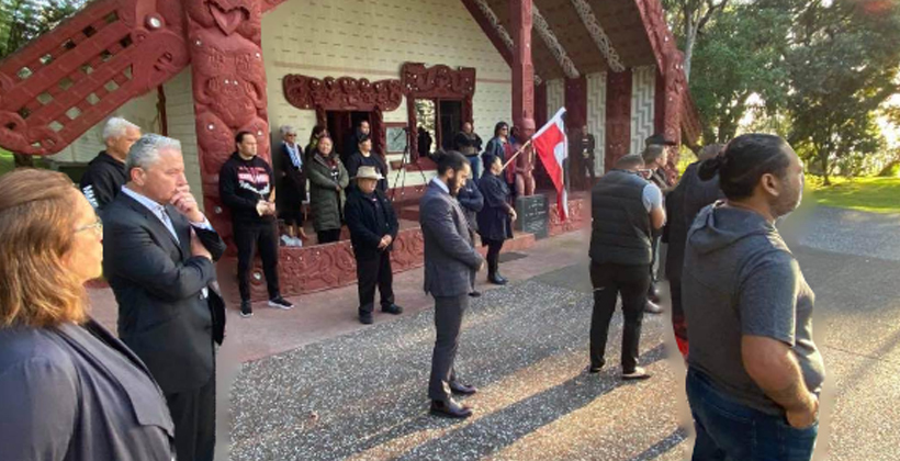 Opinion: The Maori Party are right - our elections are racist!